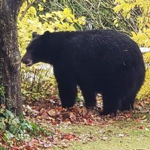 Meet your Posher, Mike